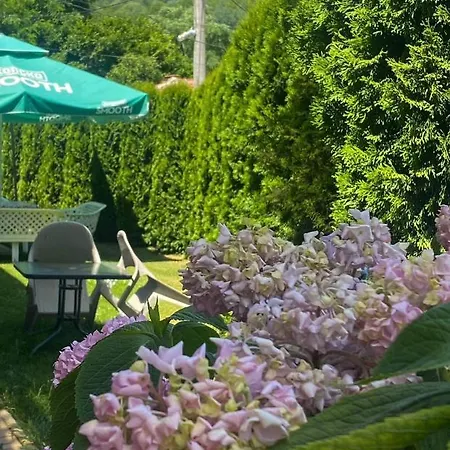Petar Apartment Mavrovo Buitenkant foto
