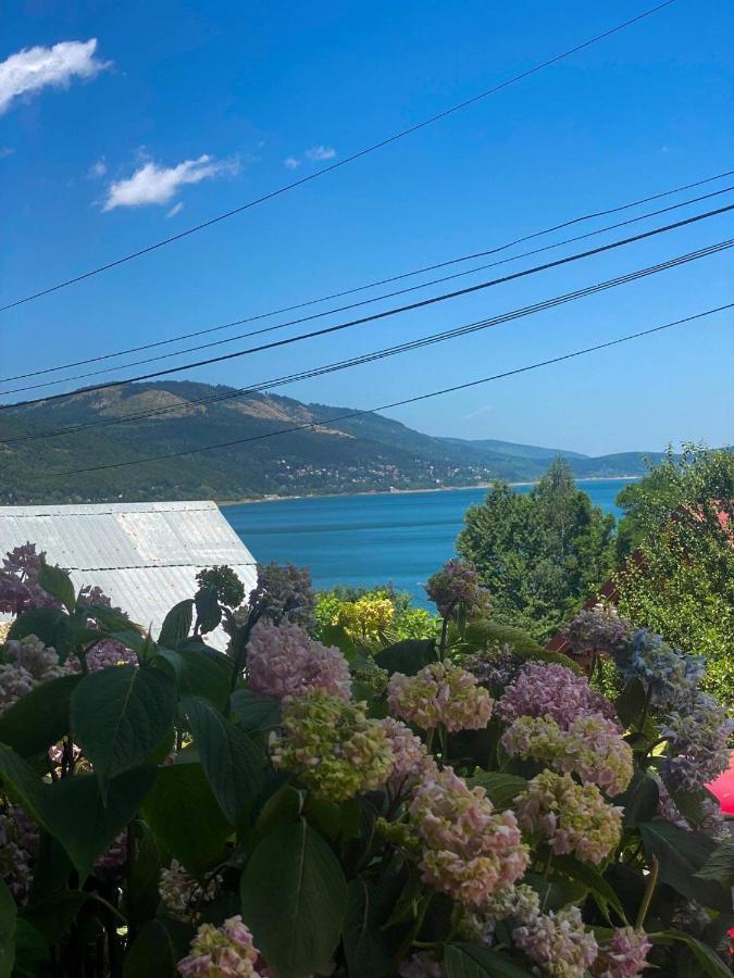 Petar Appartement Mavrovo
